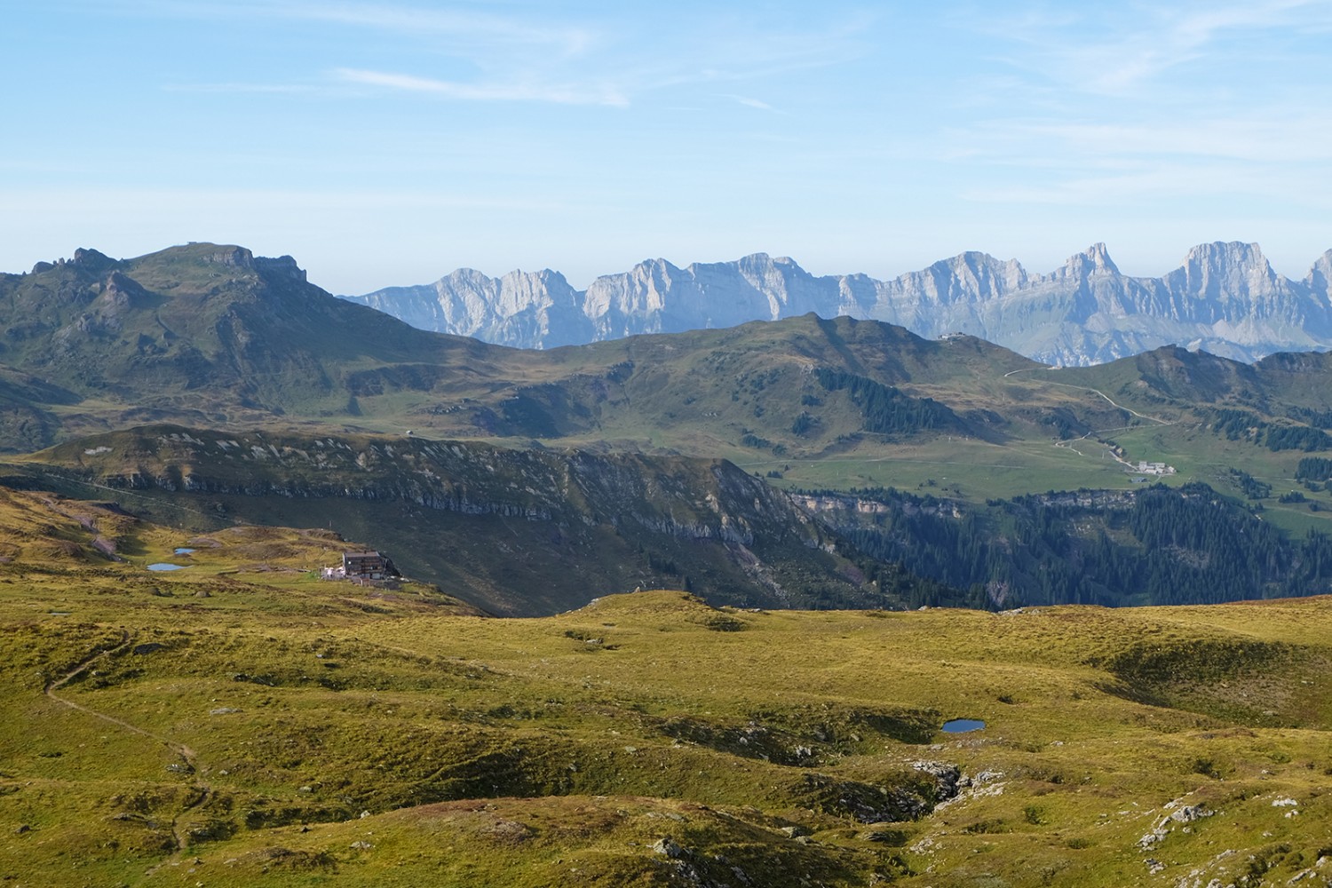 Weite Weiden und am Horizont die Churfirsten am Walensee. Bilder: Elsbeth Flüeler