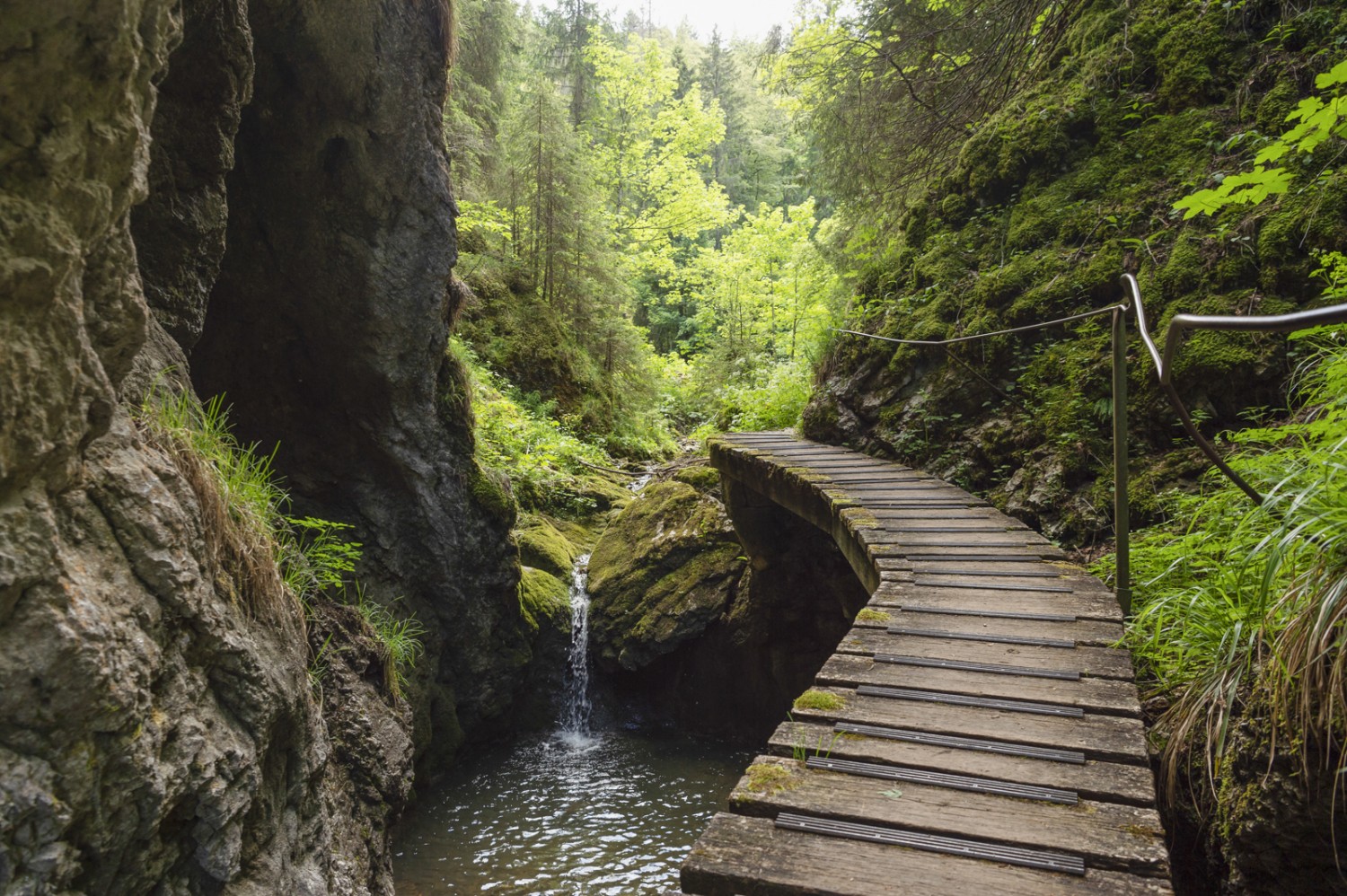 Tout en haut, une passerelle traverse les gorges. Photo: Raja Läubli