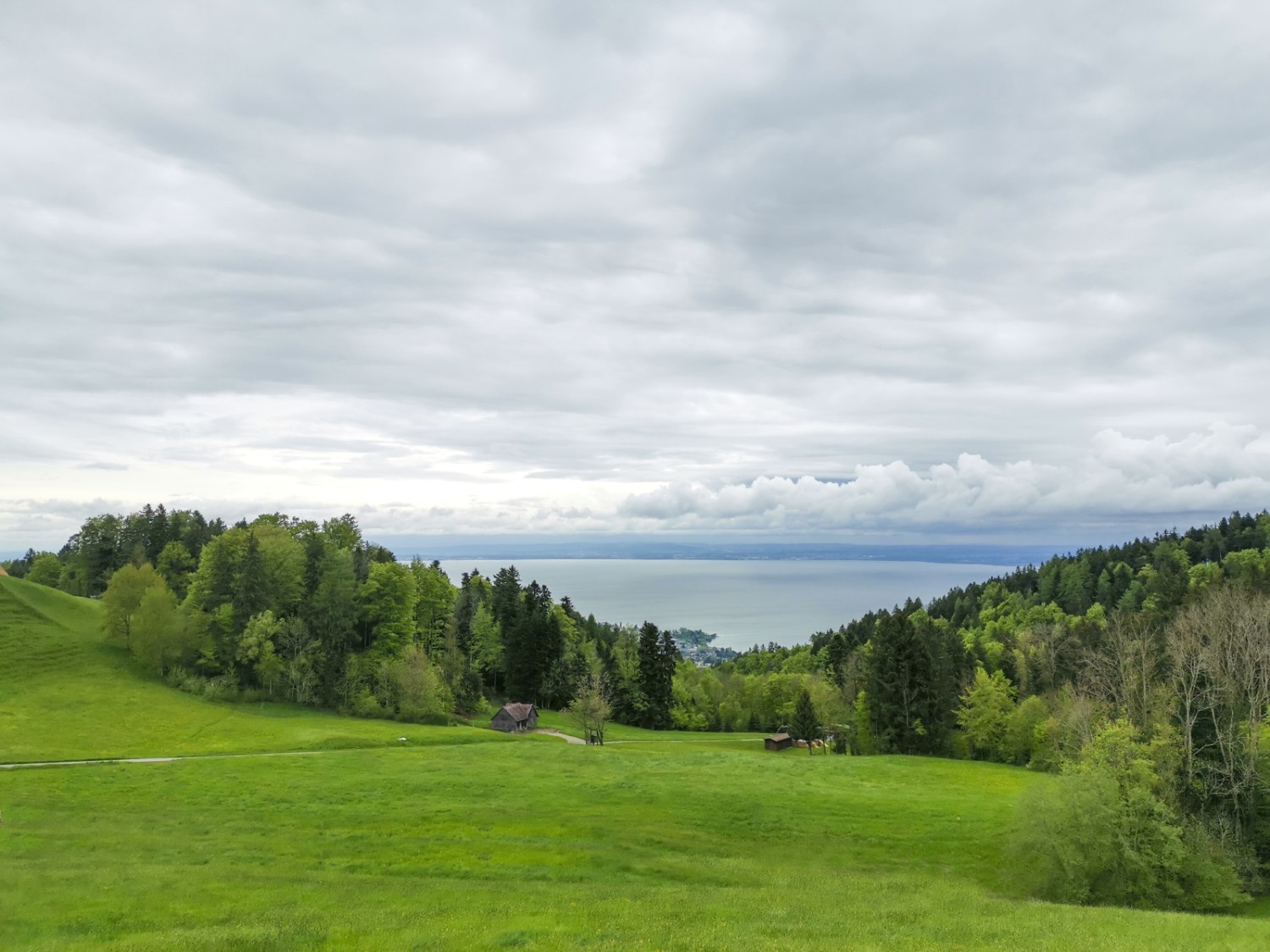 Vue sur le lac de Constance. Photo: Evelyne Zaugg