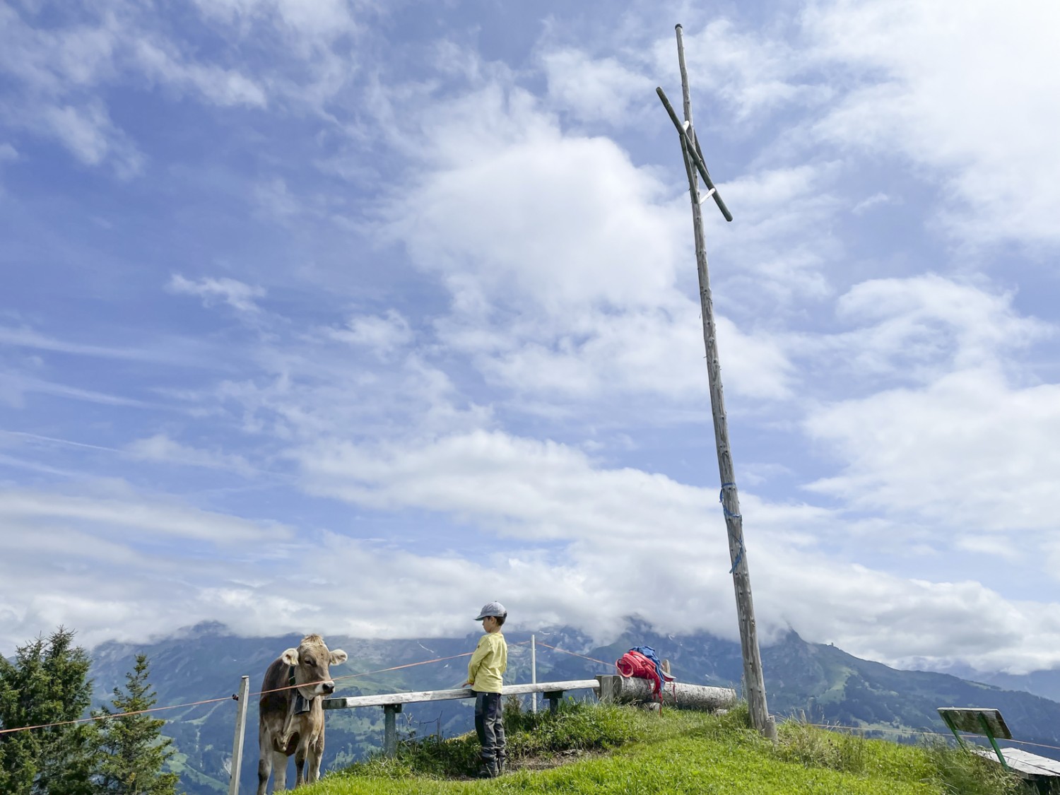 Auf dem höchsten Punkt der Wanderung bei Gummen. Bild: Rémy Kappeler