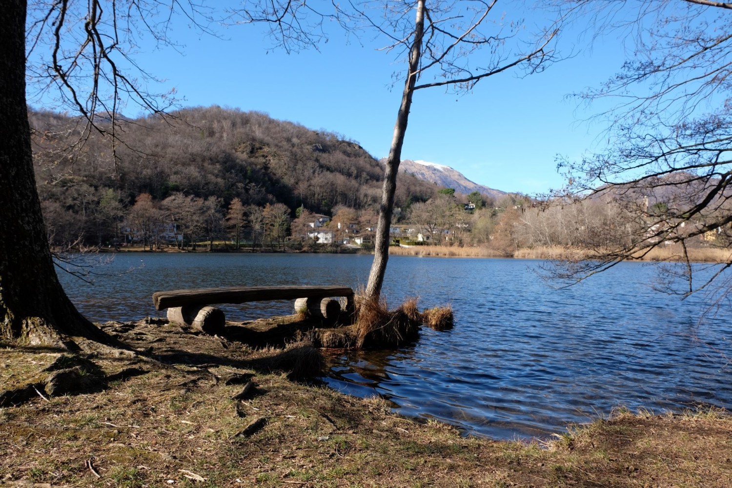 Vor dem steilen Abstieg nach Lamone kommt man am Lago d’Origlio vorbei.