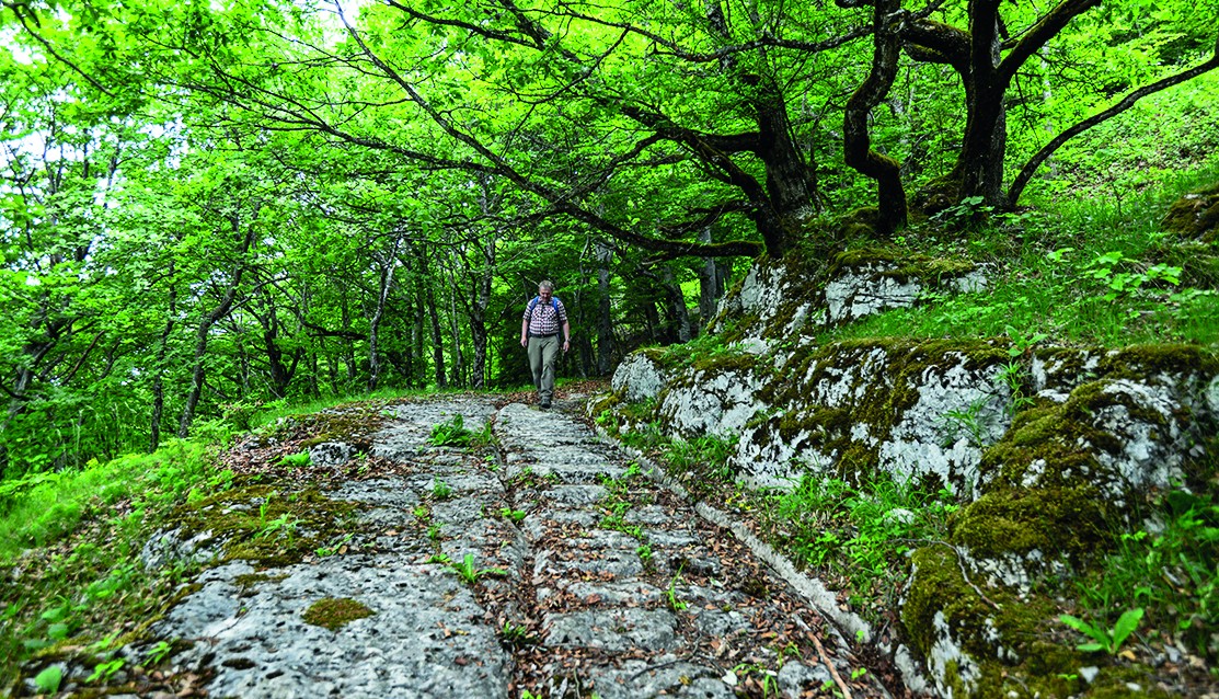 Die einige Zentimeter tiefen Rillen in den Trassees sorgten dafür, dass die mit Salz beladenen Karren nicht seitlich ausscherten. Bild: Daniel Fuchs