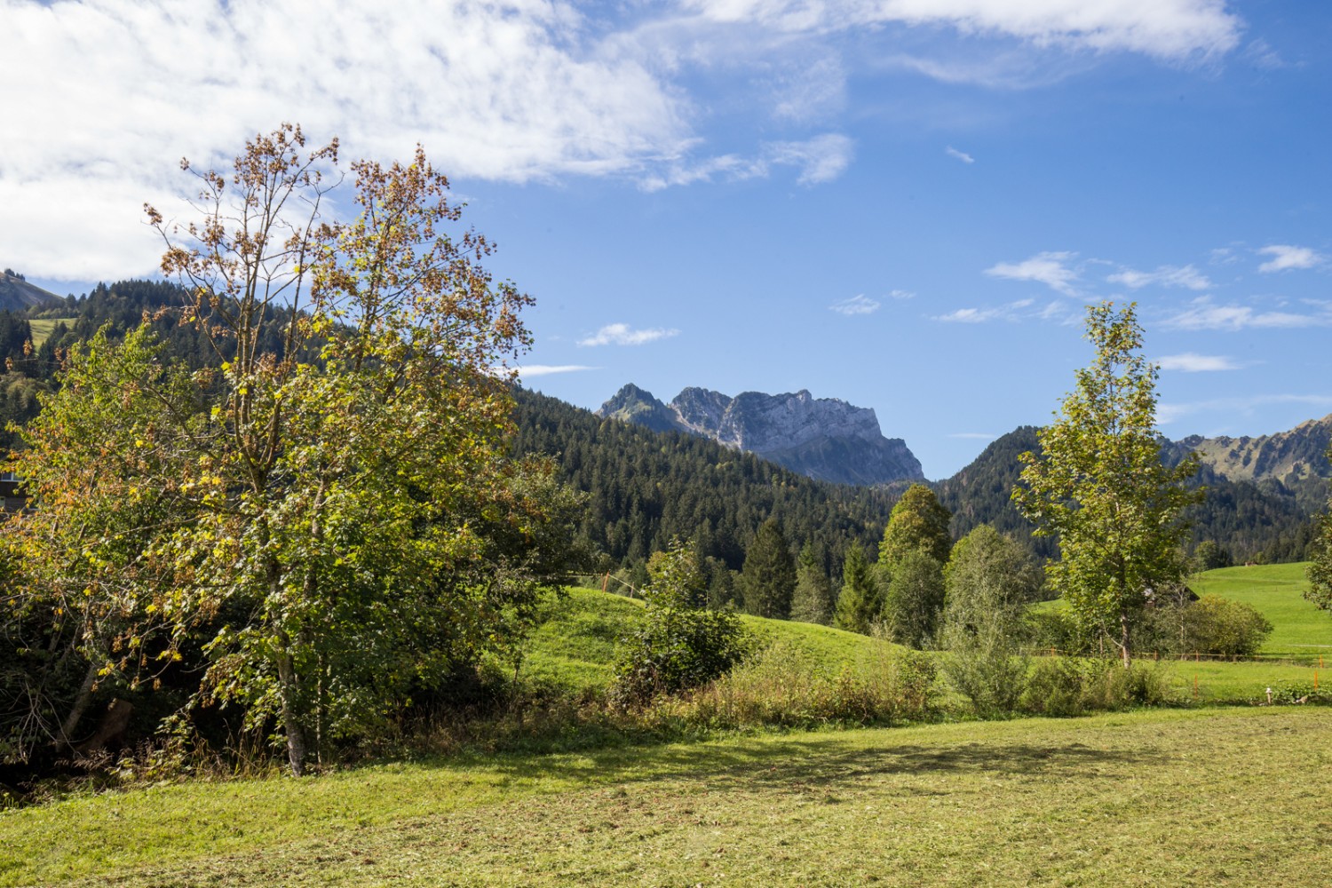 Vue sur le Mattstogg peu après Au. Photo: Daniel Fleuti