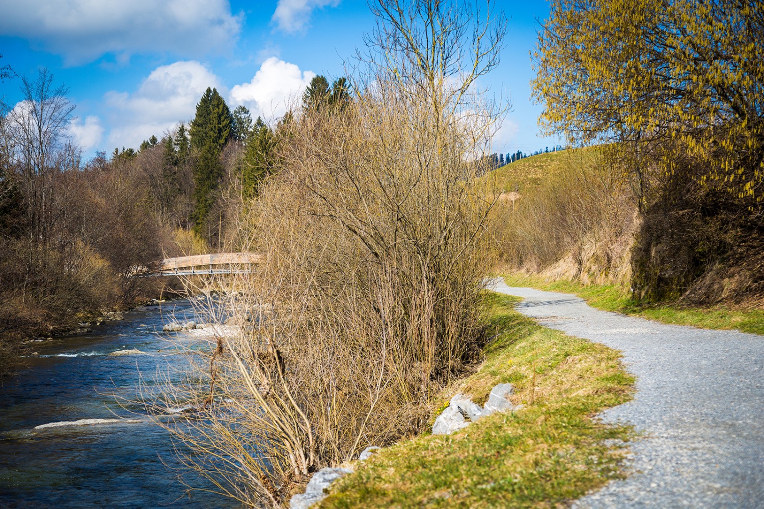 Die Holzbrücke ist der Höhepunkt des neuen Rundwegs. Bild: zvg