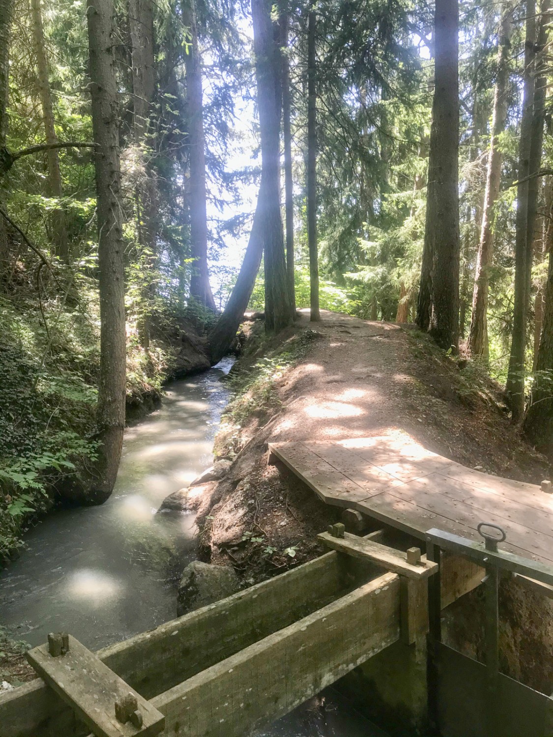 La régulation de l'eau de la Bisse est en service.