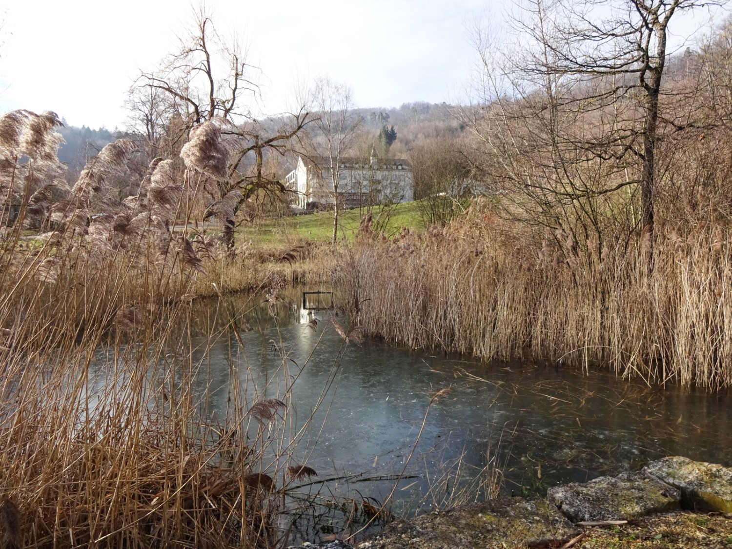 Kurz vor dem ehemaligen Kurhotel kommt man an einem Weiher vorbei. Bild: Miroslaw Halaba