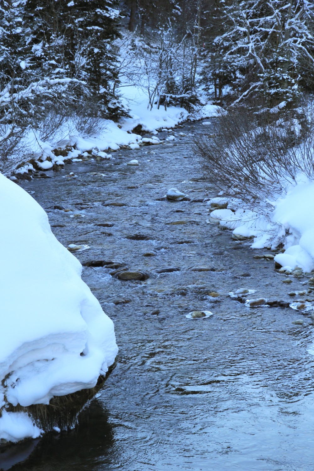 Der Schneeschuhtrail führt entlang der Göschenerreuss. Bild: Elsbeth Flüeler