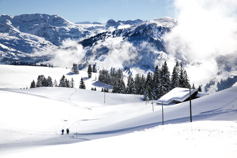 Der Ausblick vom Winterwanderweg aus zeigt den Rinderberg bei Zweisimmen und die Plaine Morte im Hintergrund. Bilder: Sophie Scholl