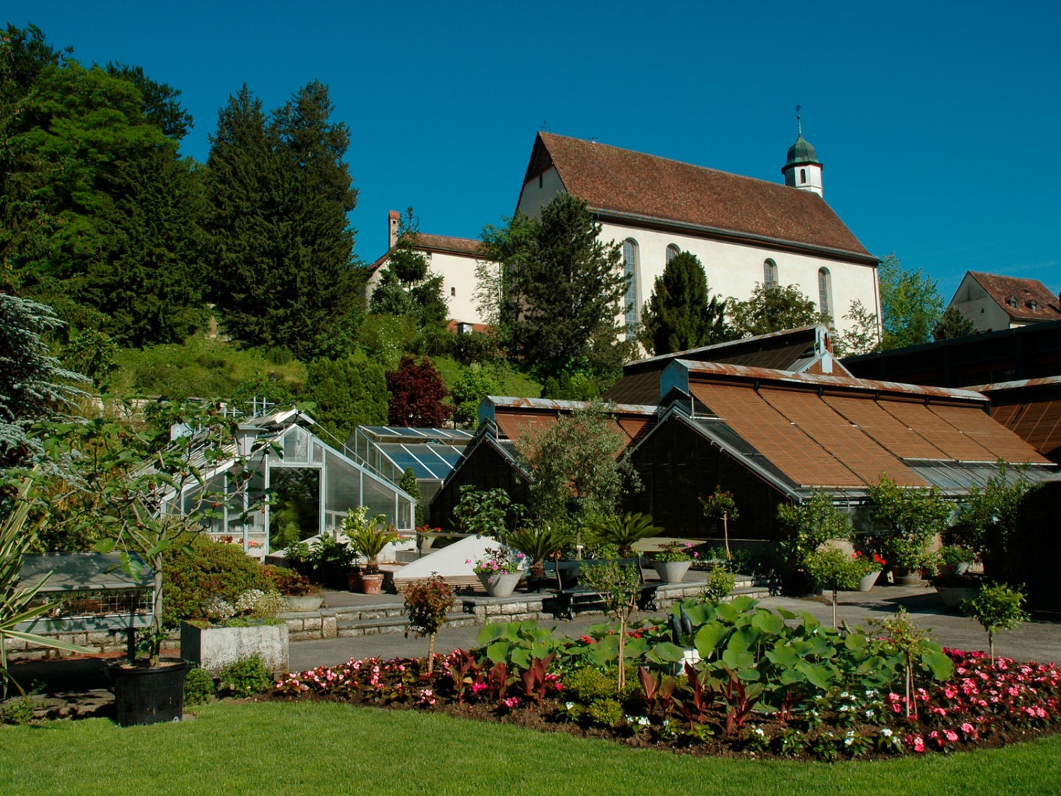 Les collections botaniques sont présentées dans des serres thématiques recréant des divers environnements. Photo: Jura Tourisme