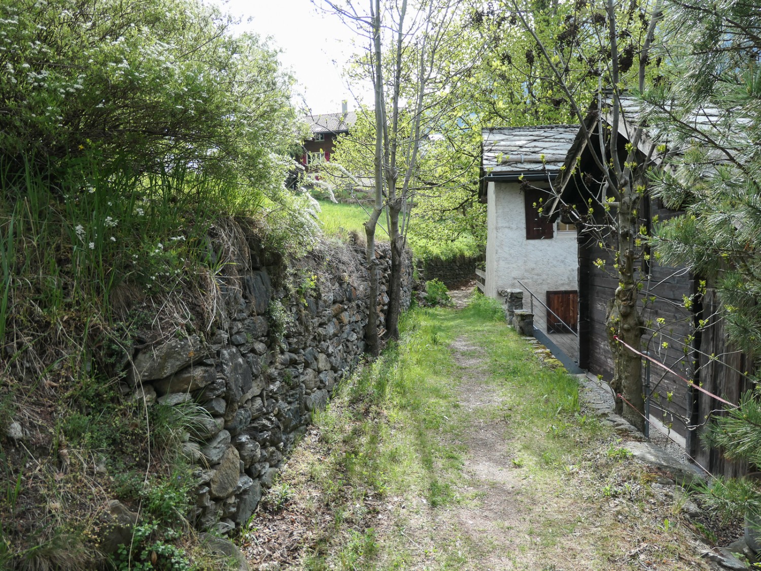 Emergeant de la verdure, le chemin traverse Unterems. Photo: Ulrike Marx