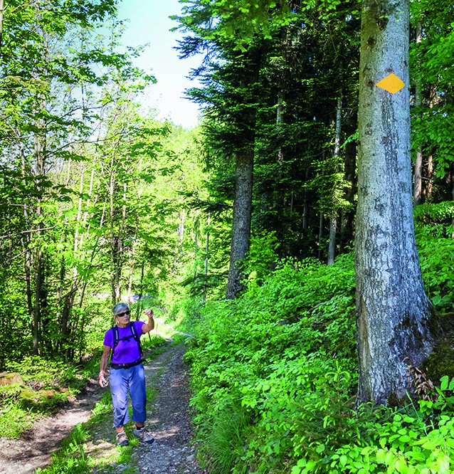 Ruth Scherrer kontrolliert regelmässig 40 Kilometer Wanderwege im Thurgau. Bild: Daniel Fleuti