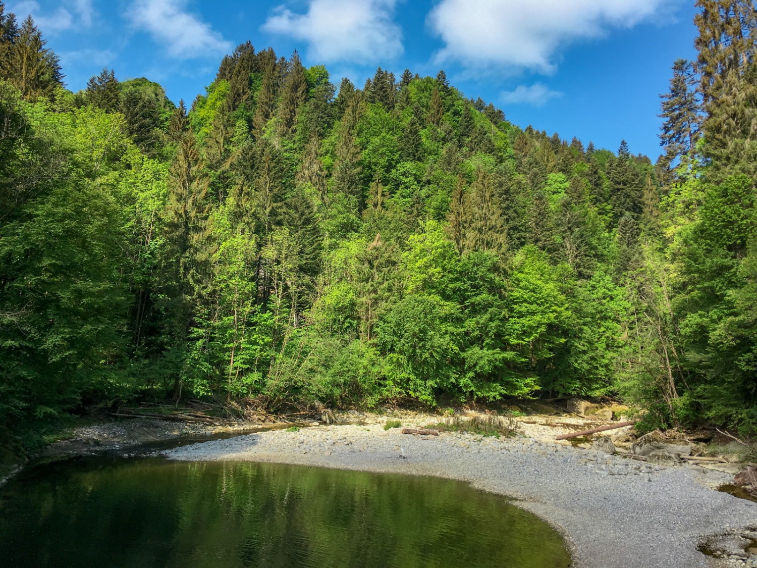 Ein herrlicher Badeplatz an der Sitter. Bild: Claudia Peter