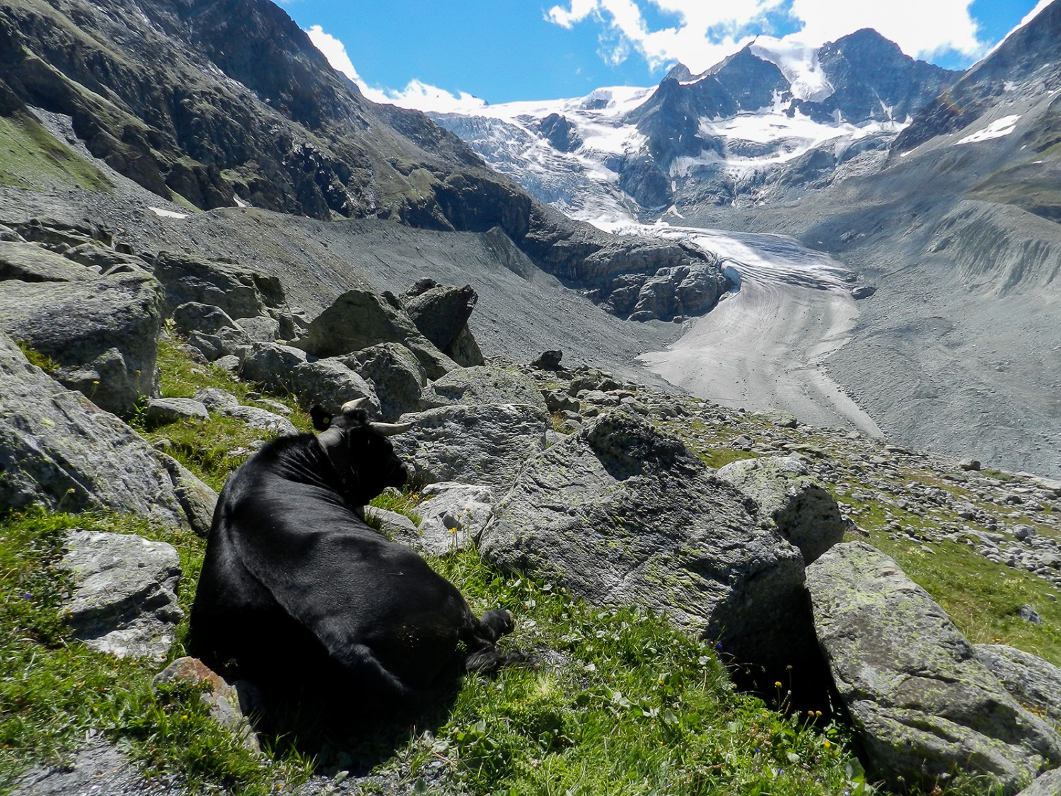 Ist man oben angekommen, bietet sich eine herrliche Aussicht mit freiem Blick auf den Moiry-Gletscher.
