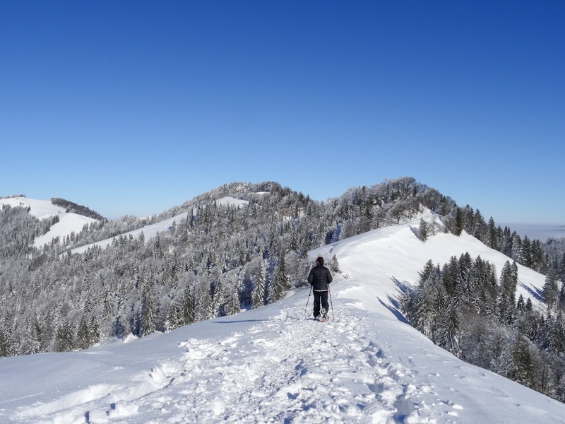 Les deux chemins vont bientôt se séparer. (Photo: Vera In-Albon)