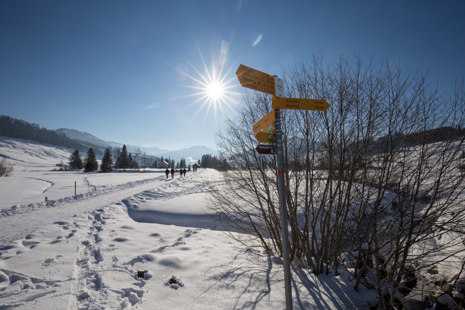 La randonnée d'hiver de Rothenthurm à Steinstoss se dirige vers le soleil.