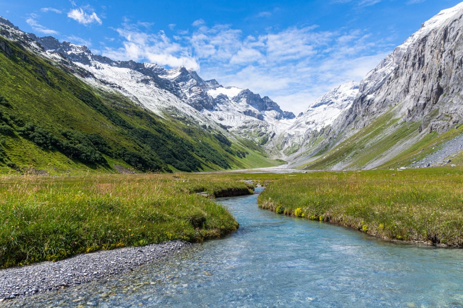 Val Frisal und der noch junge Bergbach Flem.