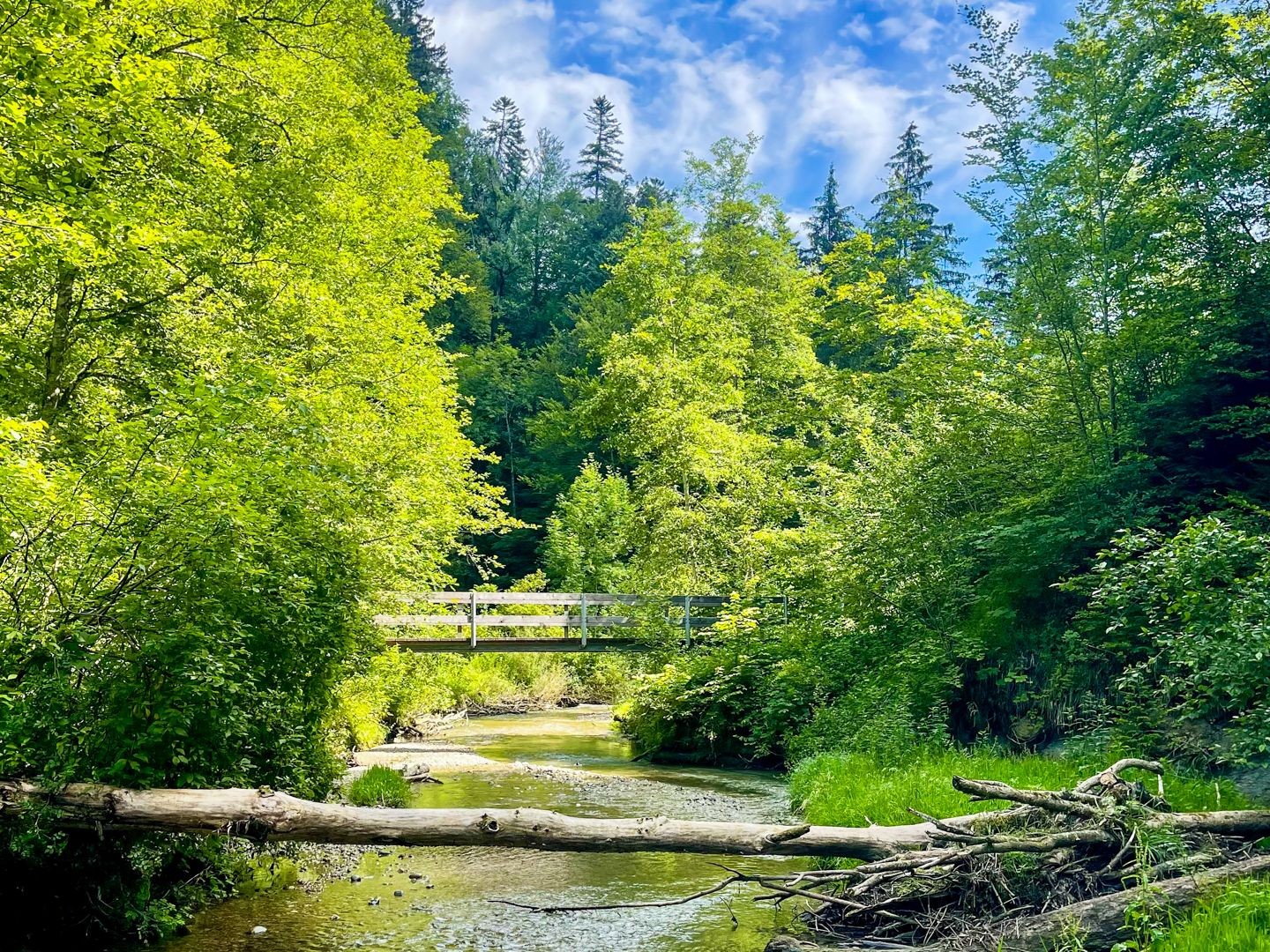 Le parcours dans les gorges permet de franchir de très nombreux ponts en bois.