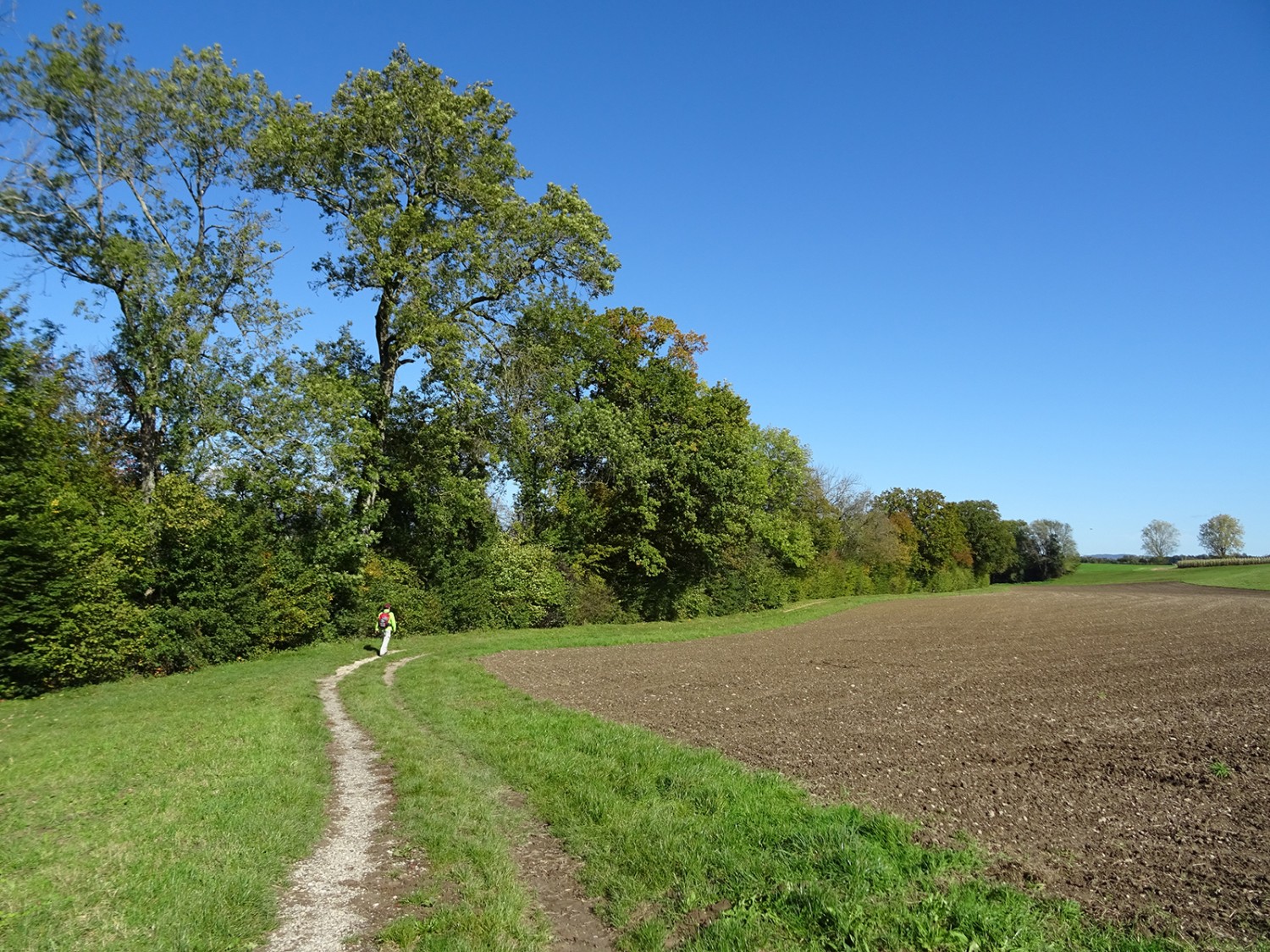 Bei Oberwynau führt ein einladender Uferweg der Aare entlang.
Bilder: Sabine Joss
