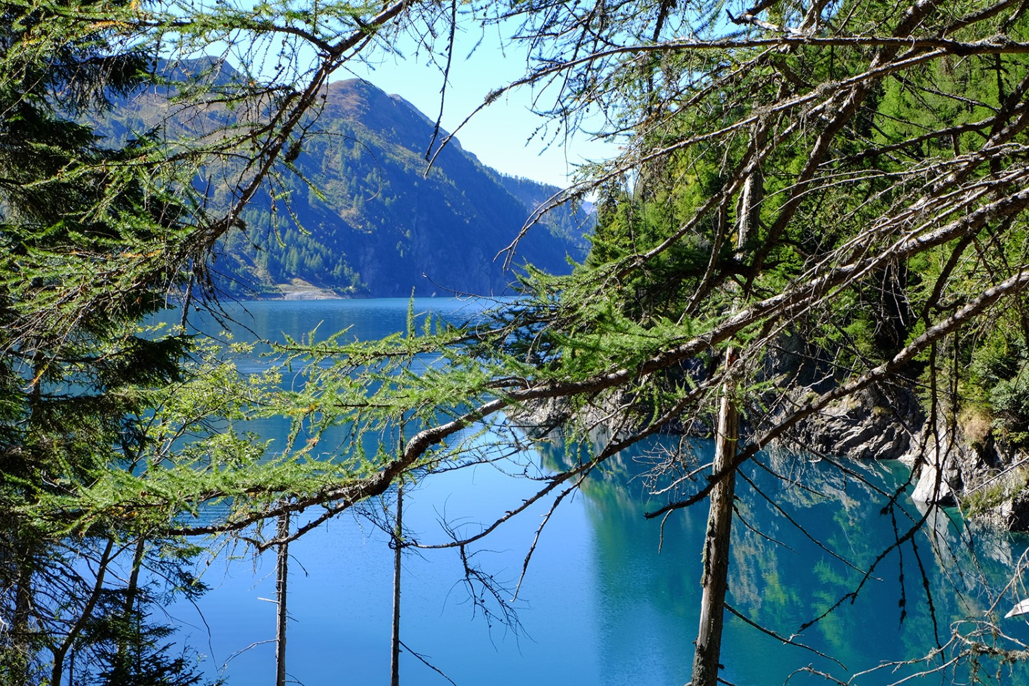 Bleu comme une gentiane. Le Lago di Luzzone est situé 600 mètres en dessous de la Greina.