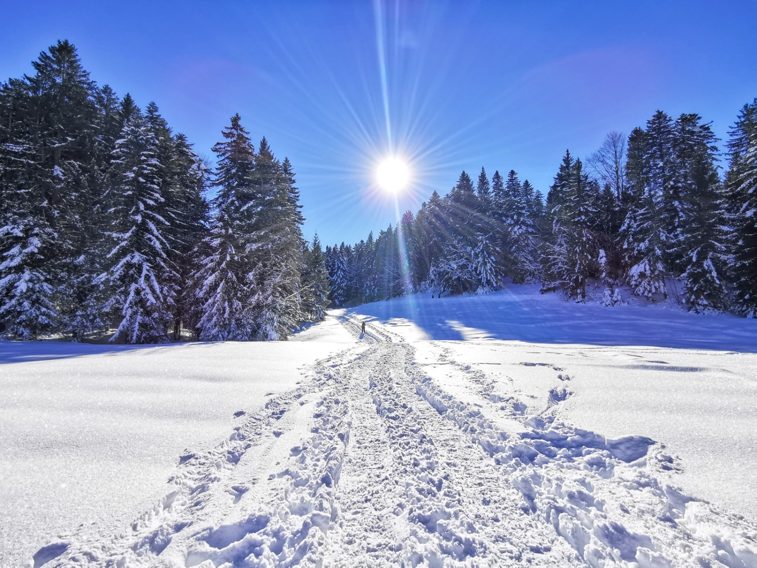 Forêts sous la neige au lieu-dit Salomonstempel. Photo: Andreas Staeger