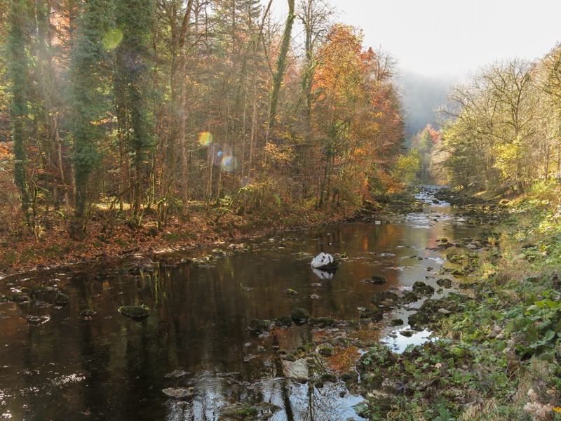 Die Areuse ist ein Zufluss des Neuenburgersees und fliesst durch das Val de Travers. Fotos: Marina Bolzli