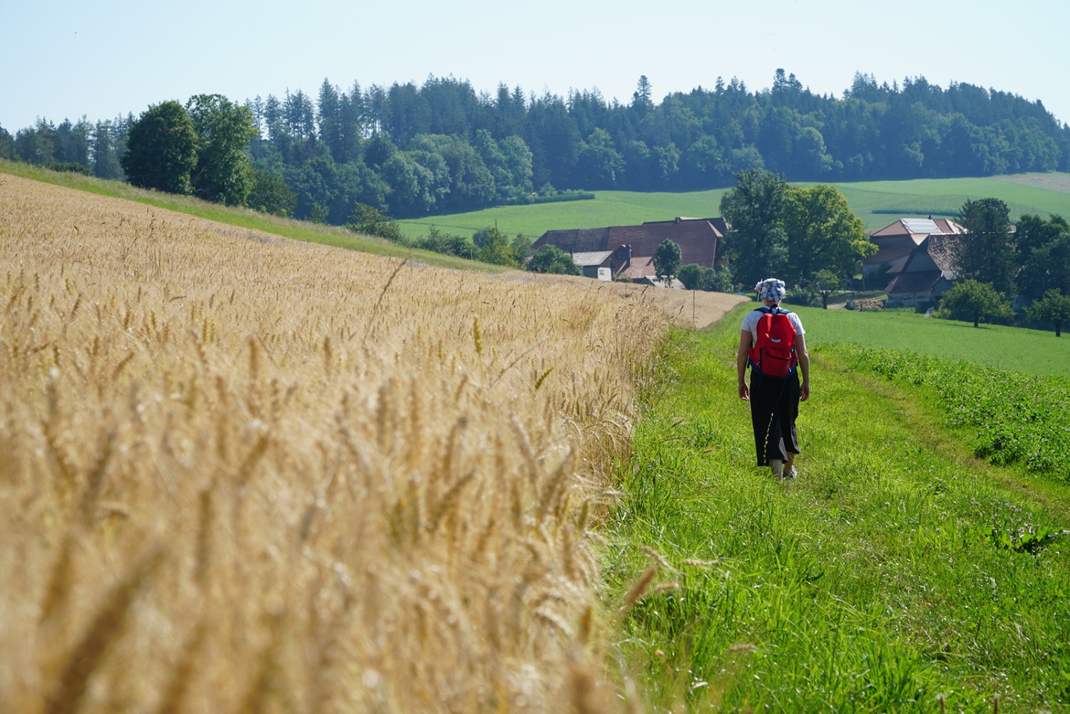 Champs et villages sur le Längenberg.