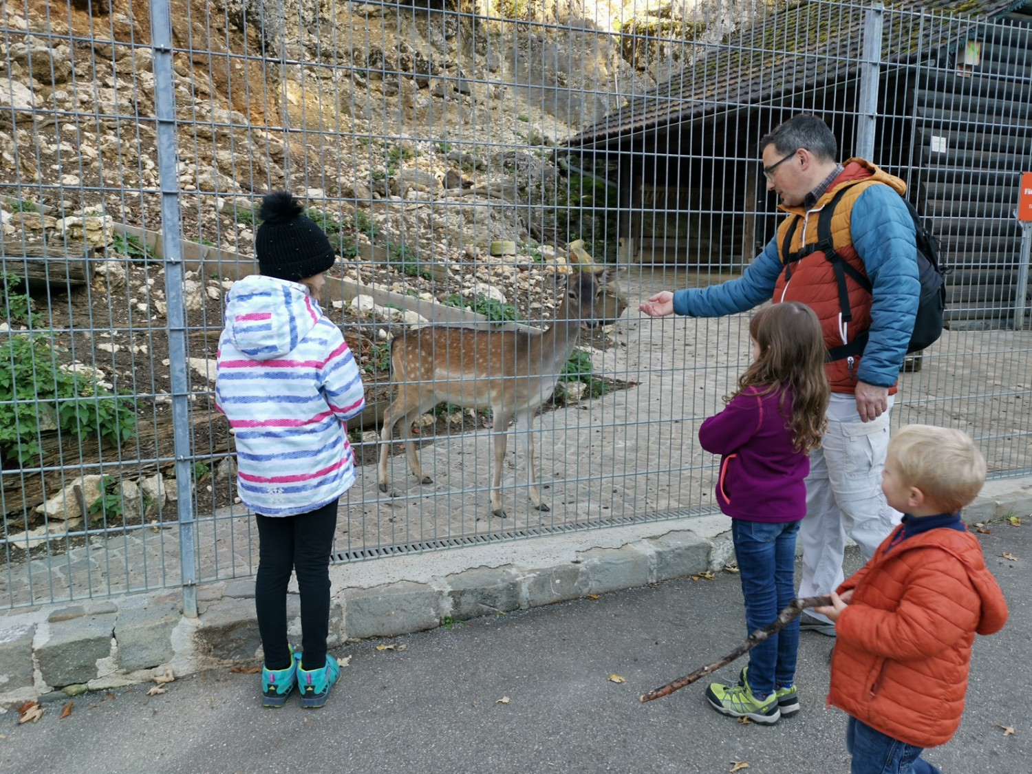 Auf Tuchfühlung mit Damhirschen und anderen Wildtieren. Bild: Evelyne Zaugg