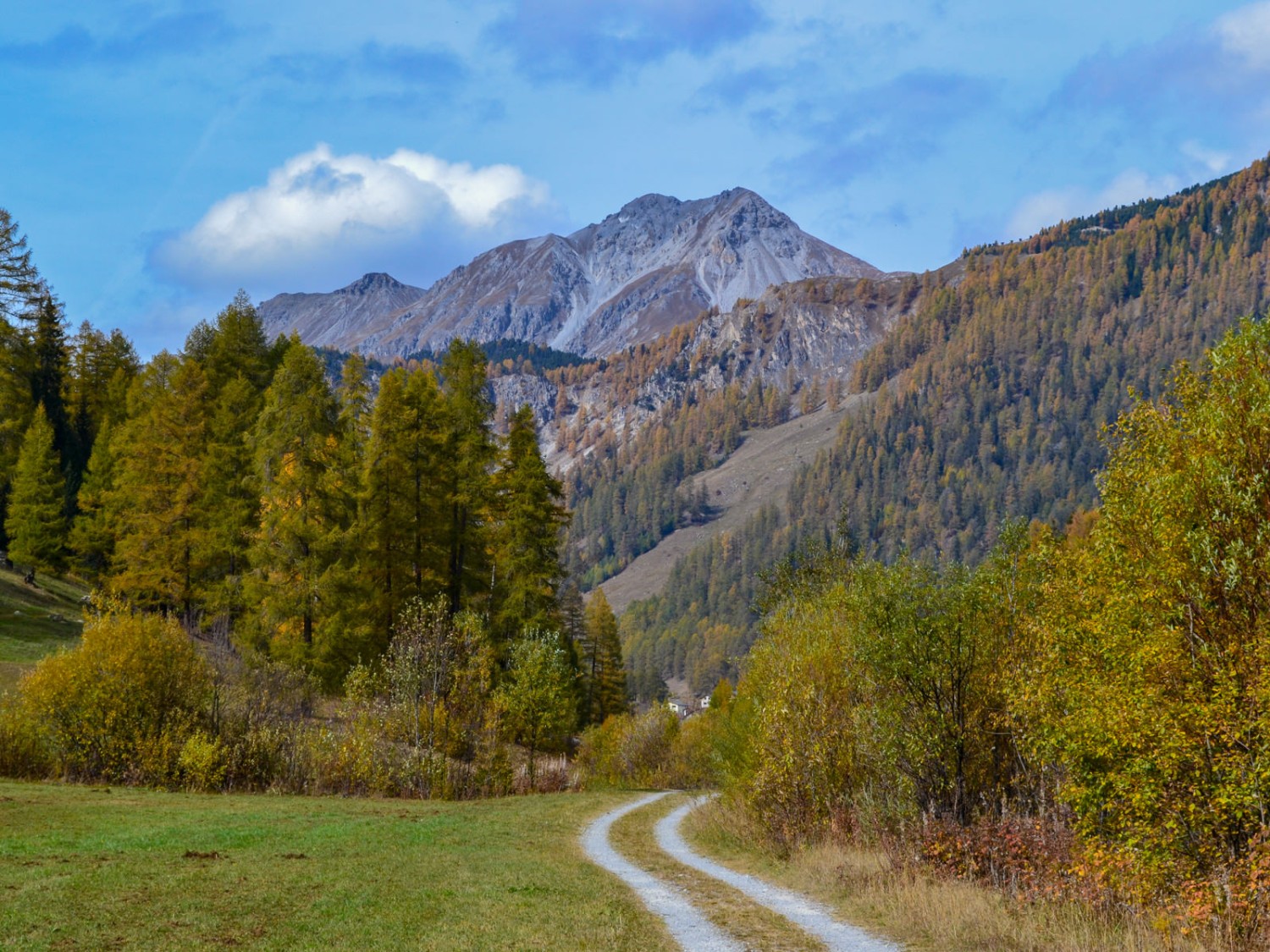 En chemin entre Tschierv et Fuldera. Photo: Sabine Joss