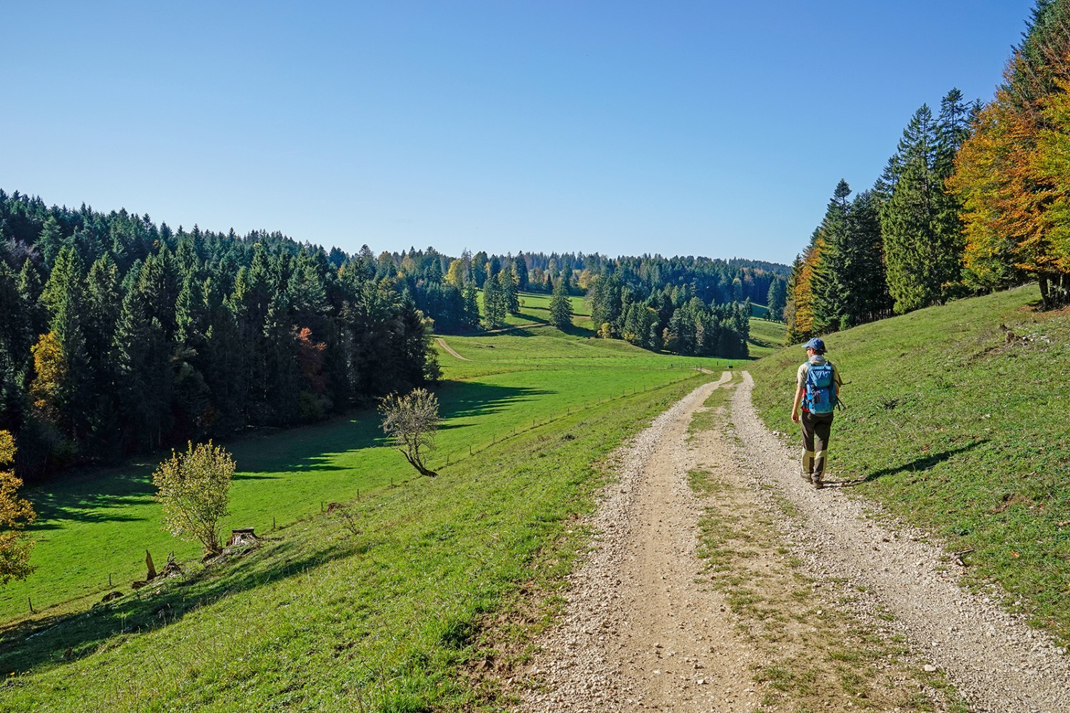 Peu après Petit Montcenez, le chemin traverse une vallée sans nom.
Photos : Fredy Joss