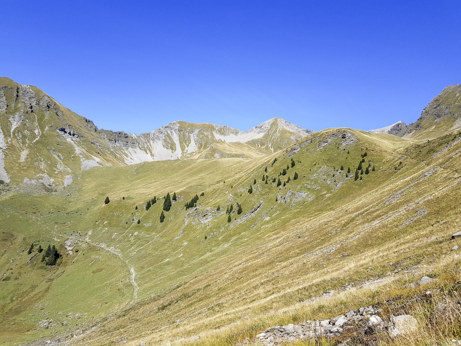 Blick zurück zum Gipfel der Männliflue. Hier hat man schon einige Höhen- und Tiefenmeter in den Knien. Bild: Patricia Michaud