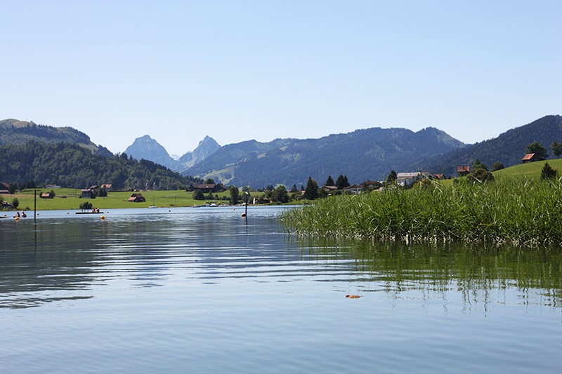 Von Schilf gesäumt zieht sich der Weg am Ufer des Sihlsees entlang - bis zum Strandbad Roblosen. Foto: Einsiedeln Tourismus