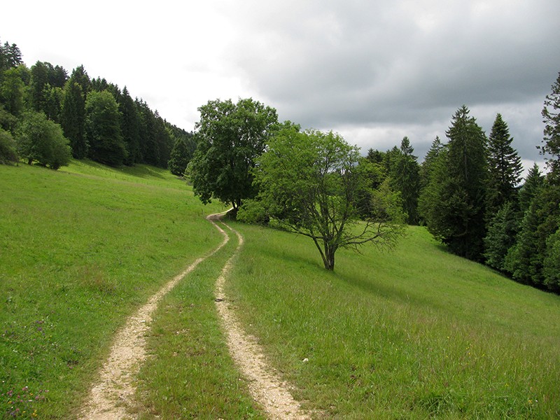 Paysage surprenant et idyllique du Stierenberg, entre Ober Fringeli et Oberbergli. Photos: Andreas Staeger