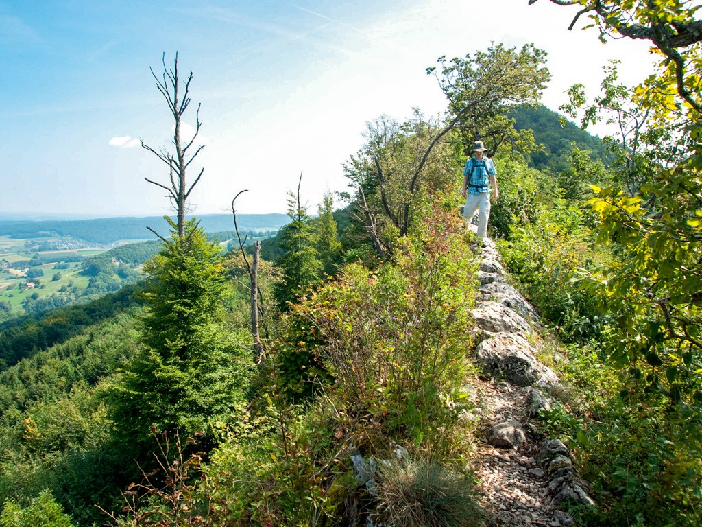 Zu beiden Seiten des Grates erstrecken sich Ausblicke auf die Alpen, den Rhein und ins Deutsche. 
Bild: Andreas Wipf
