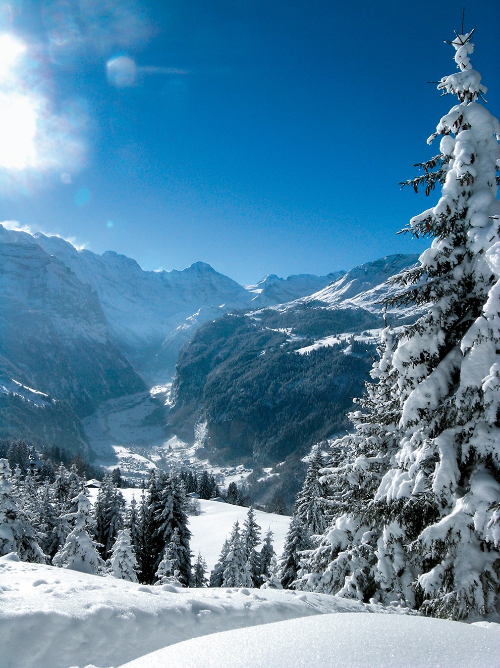 Winterzauber oberhalb von Wengen mit Blick ins Lauterbrunnental.