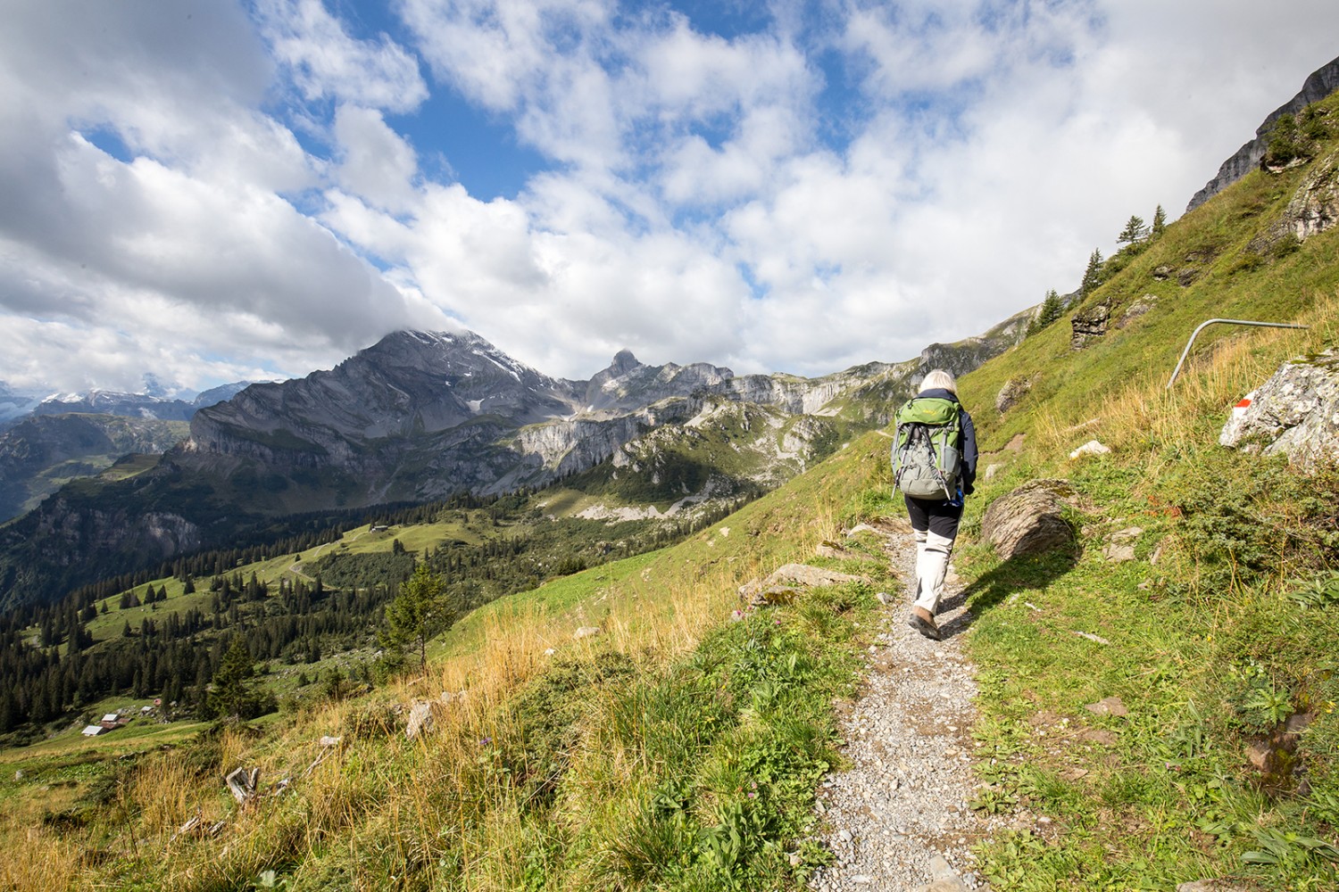 Aufstieg vom Gumen Richtung Bützi. Der mächtige Berg links ist der Ortstock. Bilder: Daniel Fleuti