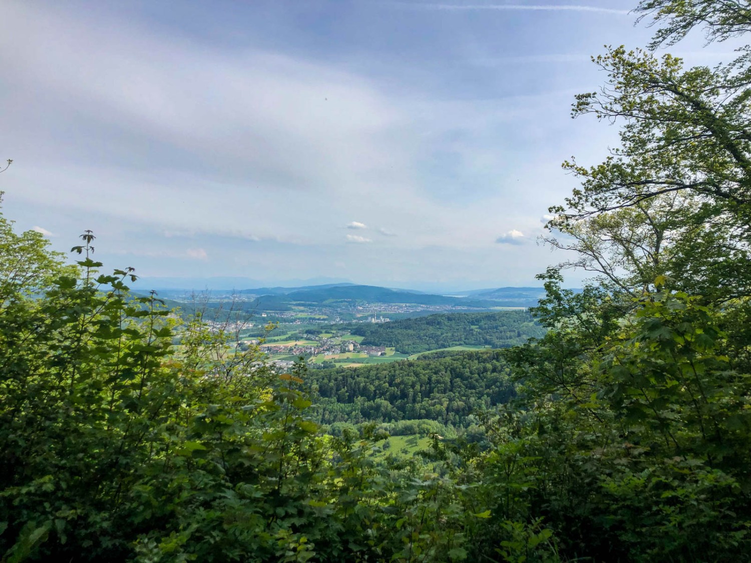 Vue du Linnerberg. Photo: Vera In-Albon