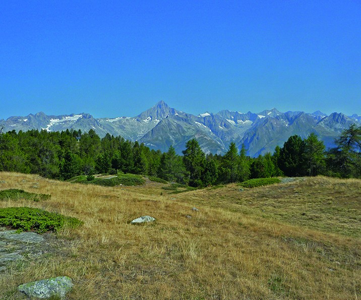 Auf dem Stand mit Blick auf die 4000er der Walliser Alpen. Bilder: Werner Forrer