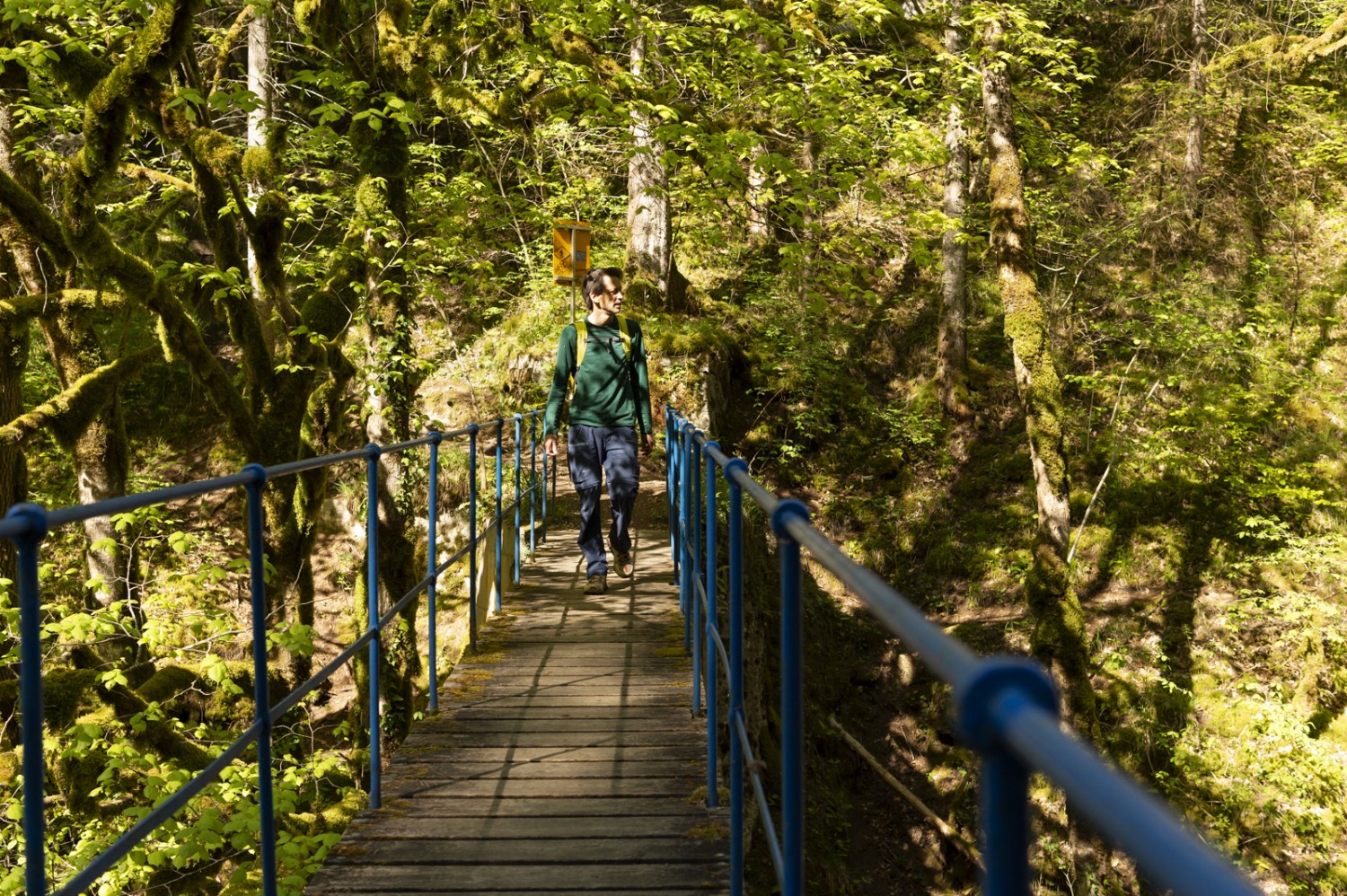 Durch die grüne Schlucht: die Gorges de l’Orbe