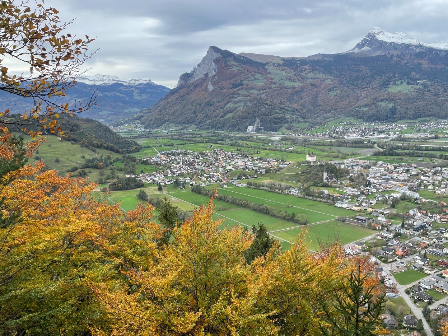 Oberhalb von Balzers wütete einst ein Waldbrand. Heute leuchtet der herbstliche Wald.