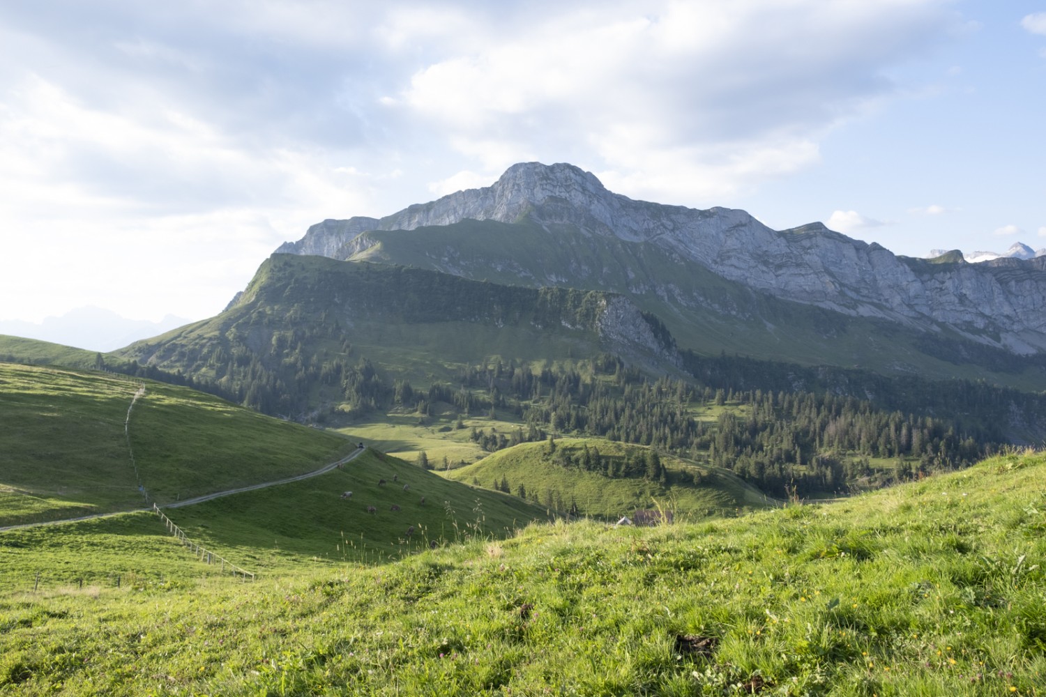 Die Wanderung aber geht weiter zum Oberbauen. Bild: Markus Ruff