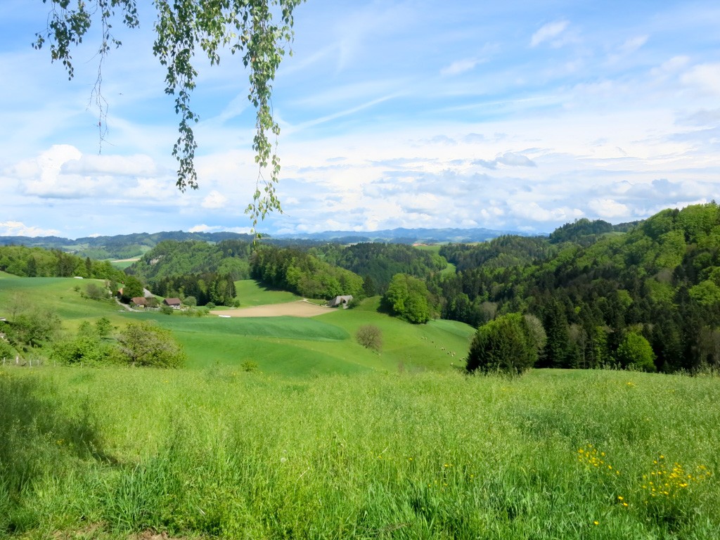 Frühlingsidylle. Bilder: Marina Bolzli