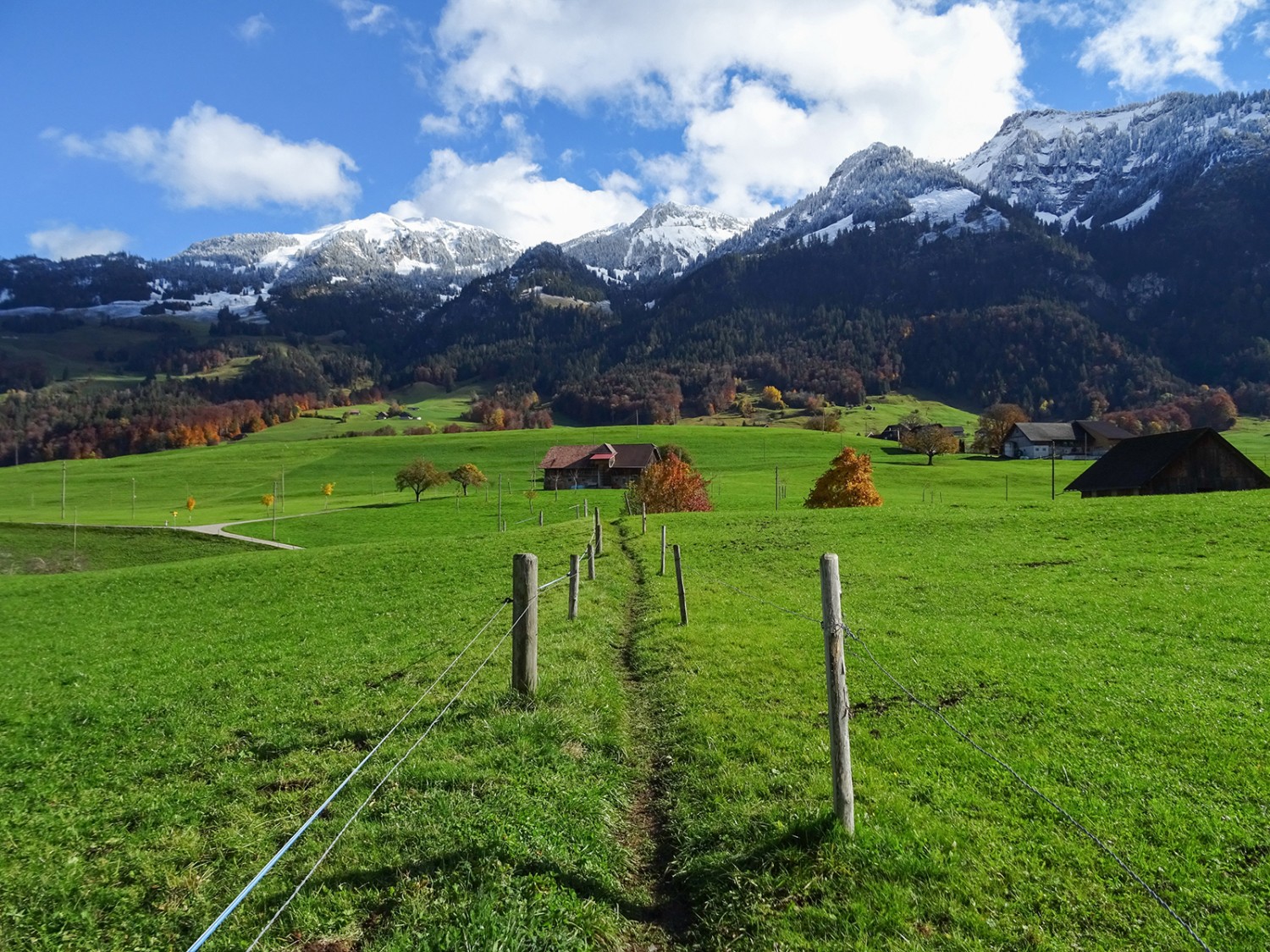 Sur le haut-plateau de Béthanie.