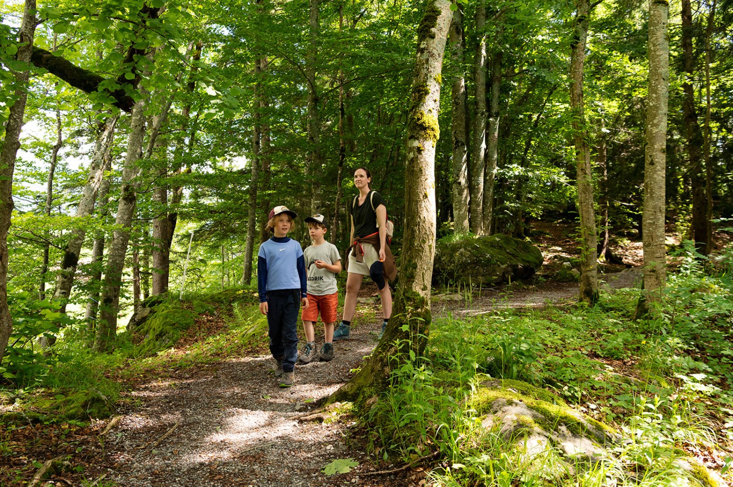 Pour terminer, passage à l’ombre dans la forêt. Photo: Raja Läubli