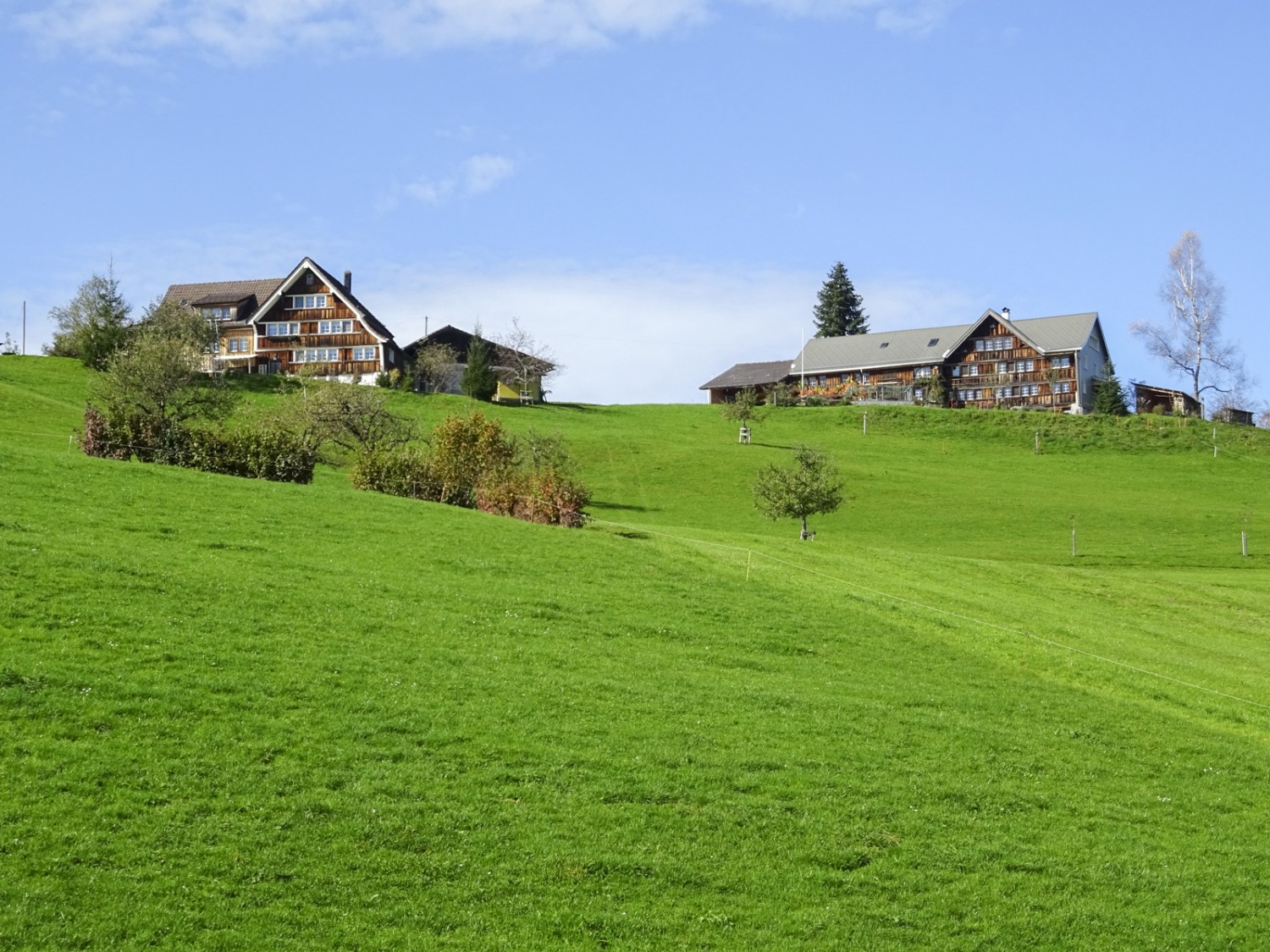 La deuxième partie de la randonnée se déroule sur des collines douces. Photo: Sabine Joss