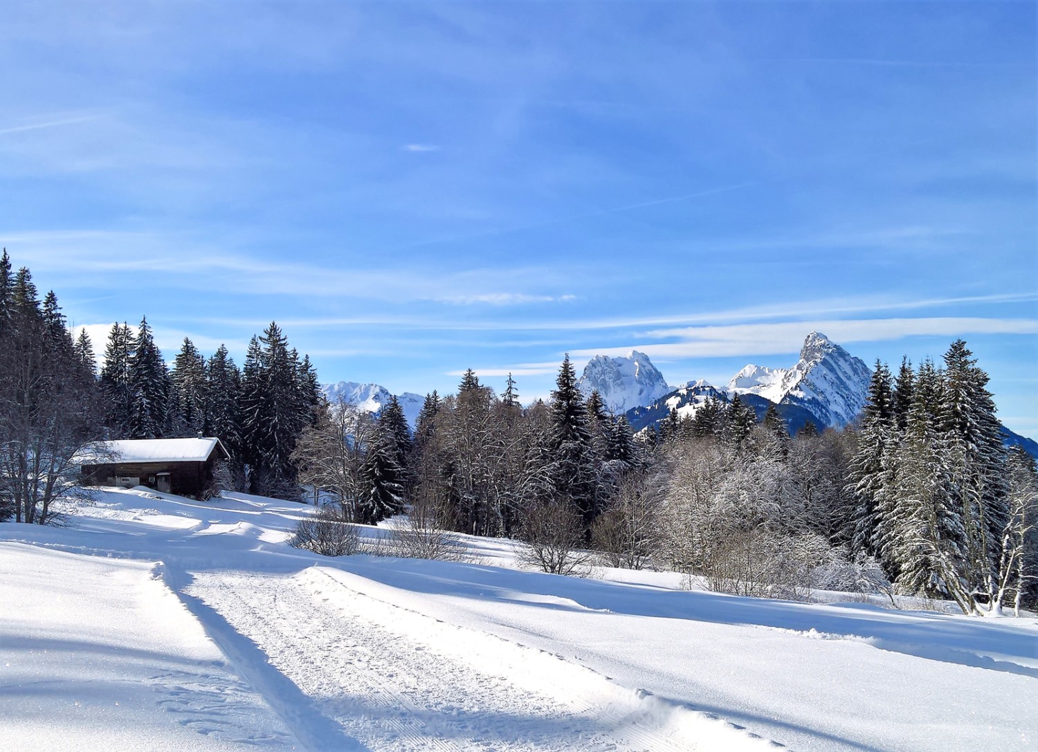 Zwischen Wittere und Schlittmoos, Blick zu Gummfluh und Le Rubli. Bild: Andreas Staeger