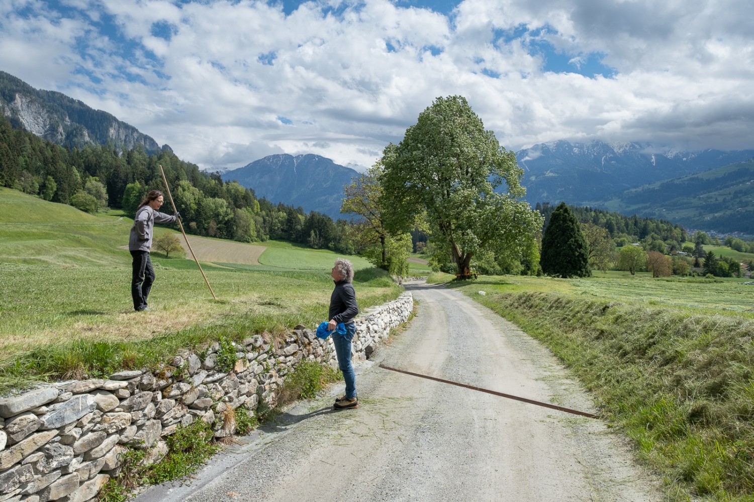 Der Weg führt mehrheitlich durch landwirtschaftlich genutzte Wiesen, hier beim Biohof Dusch. Bild: Markus Ruff