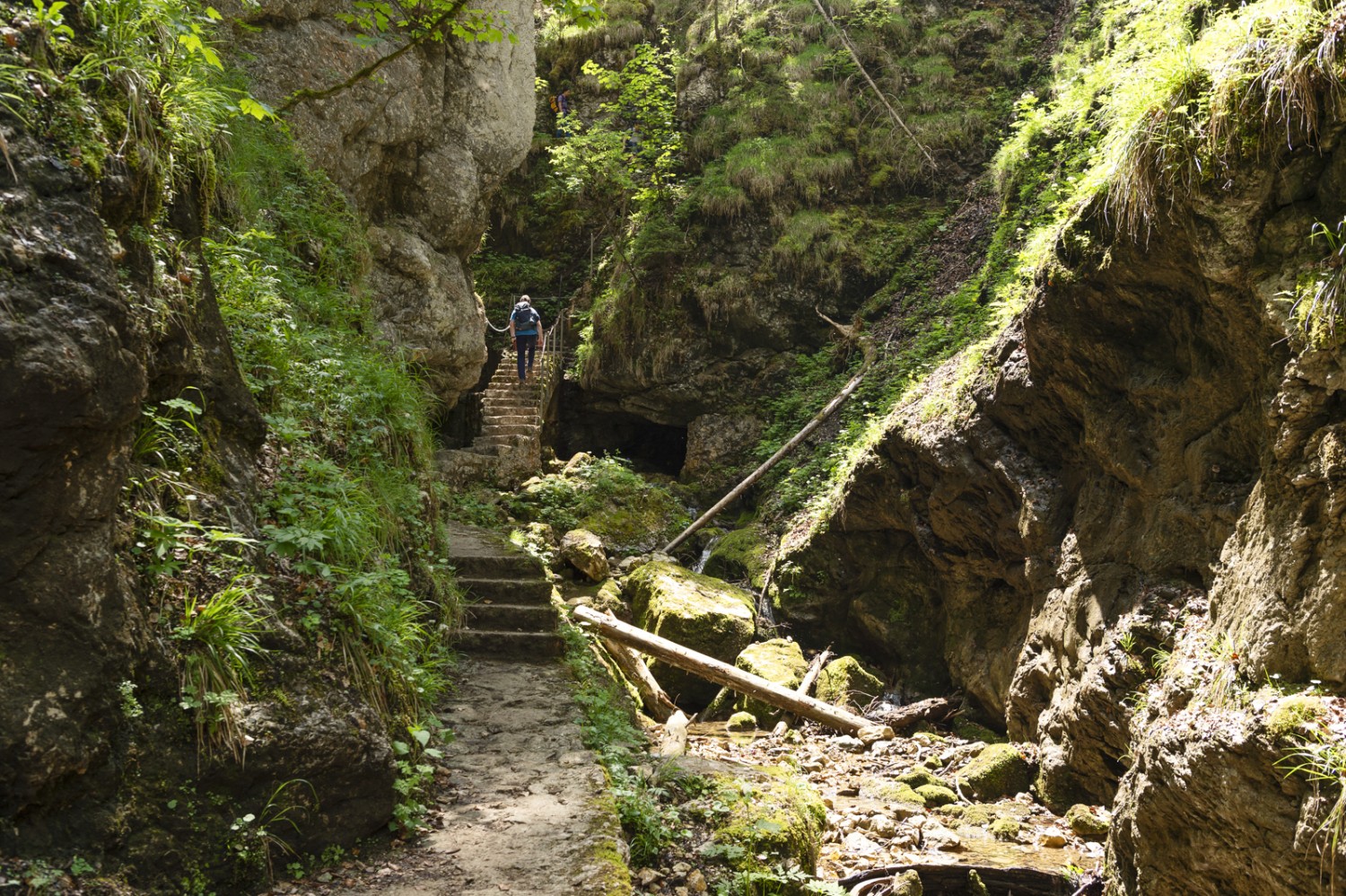 Escaliers et balustrades rendent la descente dans les gorges plus aisée. Photo: Raja Läubli