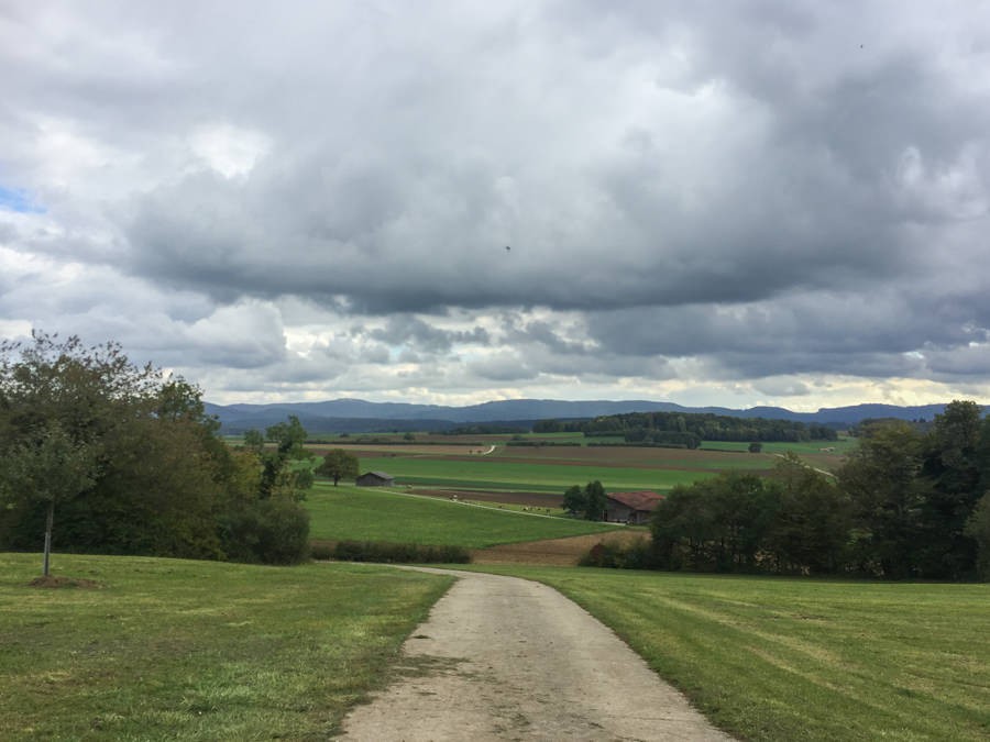 Blick auf die Ajoie, bevor es wieder in den Wald geht. Bild: Vera In-Albon