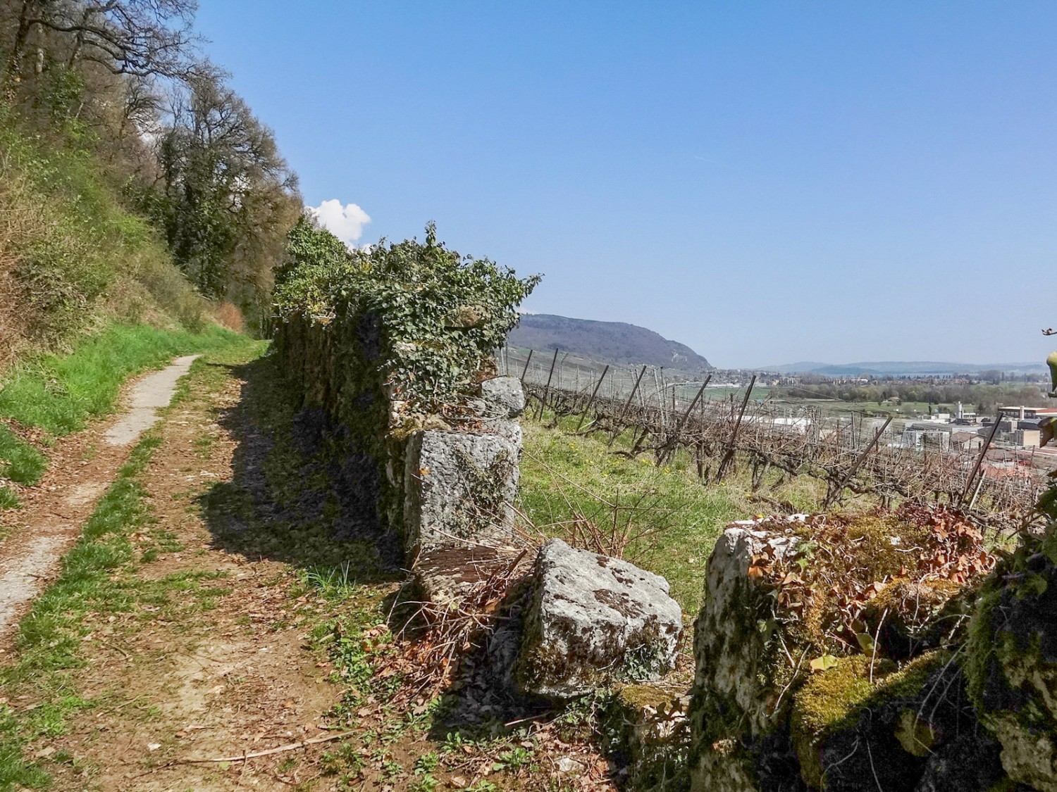 A l’horizon, le village de Cornaux, en plein dans l’Entre-deux-Lacs. Photo: Miroslaw Halaba