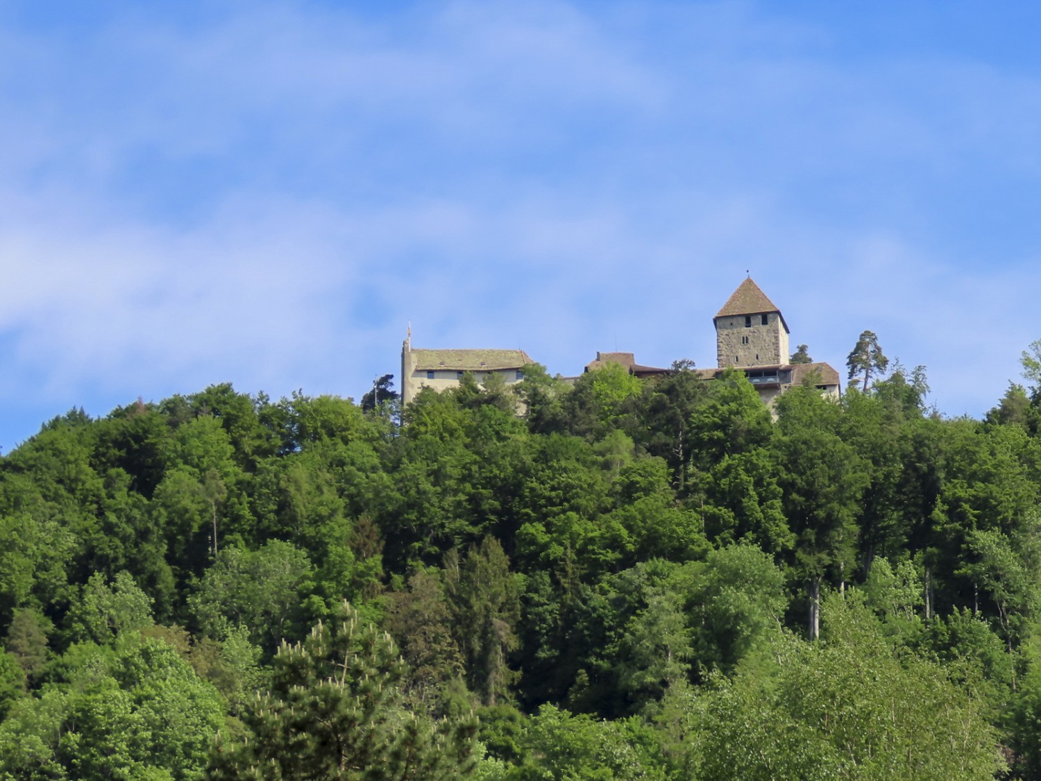 Perché sur les hauteurs, le bourg de Hohenklingen surplombe le Rhin. Photo: Heinz Trachsel